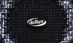 Delkor Systems, Inc.