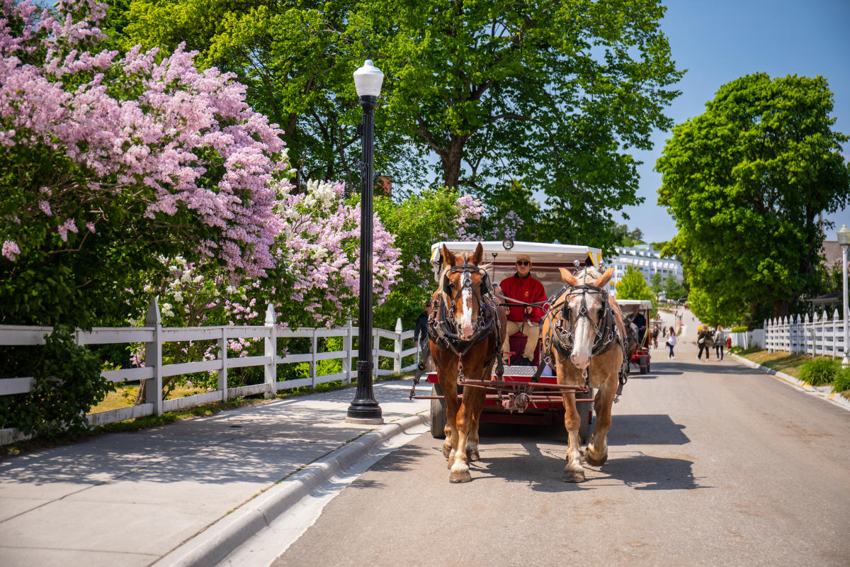 Mackinac Island Tourism Bureau logo