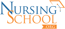 Nursing Schools logo
